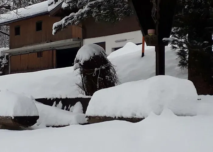 Homestay szállás Wildkogelblick Neukirchen am Großvenediger